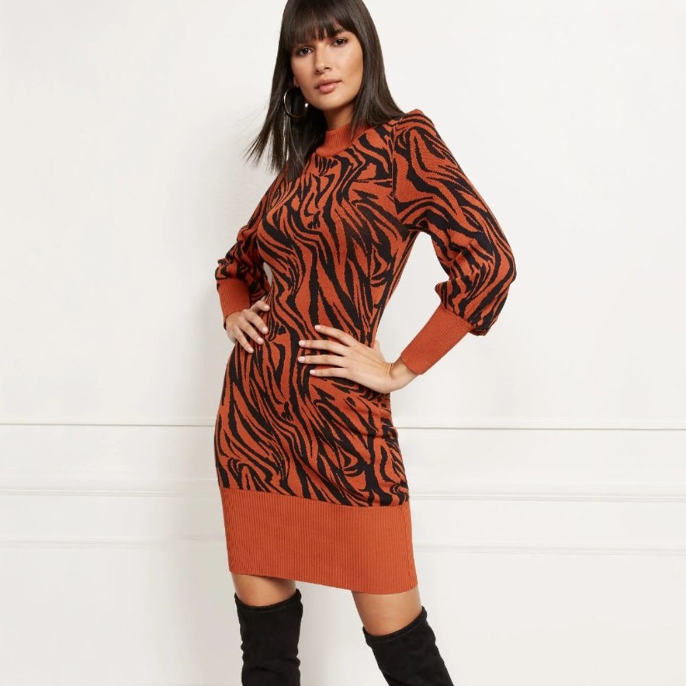 New York & Company  Zebra-Print Sweater Dress